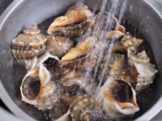 温拌海螺,把海螺先用清水浸泡半个小时后，再用自来水反复冲洗干净。