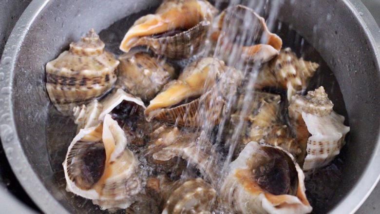 温拌海螺,把海螺先用清水浸泡半个小时后，再用自来水反复冲洗干净。