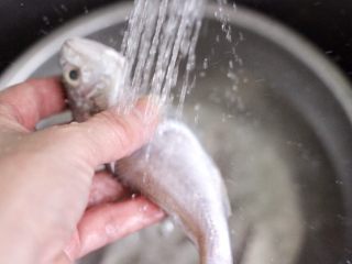 香辣孜然烤鱼,把白闽鱼去除内脏后，用自来水冲洗干净。