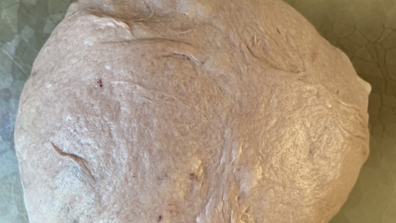 紫米面包,和面揉出膜一次发酵