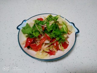 凉拌白萝卜丝、包菜、西红柿,撒上香菜碎点缀