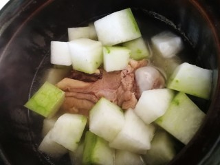 筒骨虫草菇冬瓜汤,加入冬瓜块。盖上盖子，文火煮15分钟。
