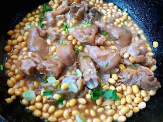 黄豆炖猪脚,最后撒上葱花和香菜提鲜即可出锅享用