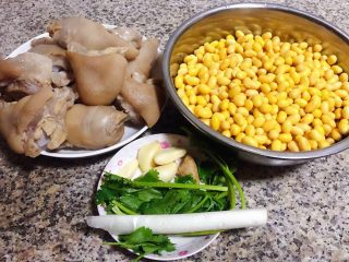 黄豆炖猪脚,准备原材料黄豆、猪脚、葱、姜、蒜、香菜备用