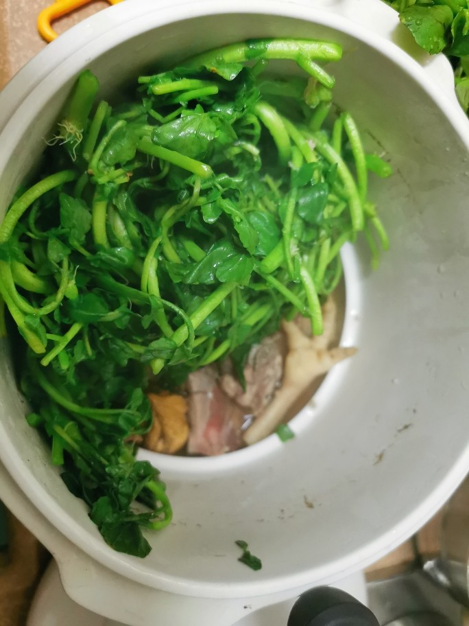 西洋菜凤爪排骨汤（清燥润肺）,所有食材放入炖盅，加水加盅盖中火炖2小时。