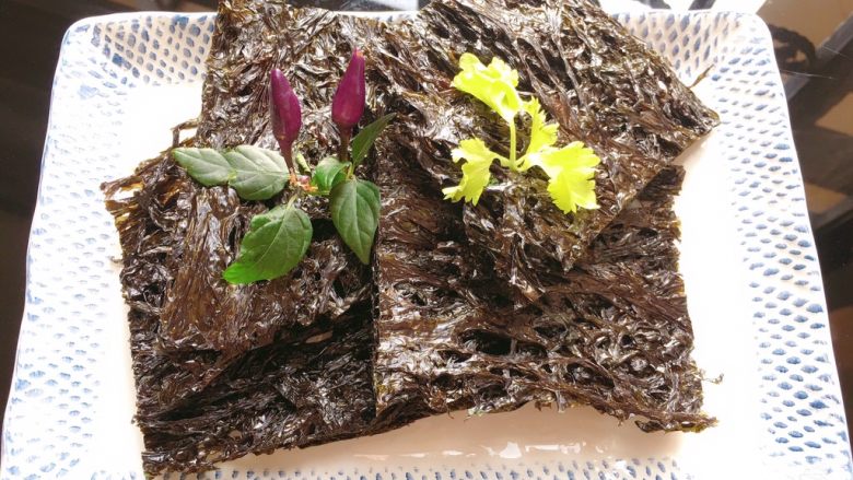 海蛎瘦肉紫菜煲,头水紫菜