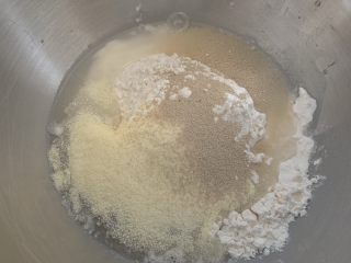 香葱肉松面包卷儿,高粉，低粉，澳优珀淳奶粉 纯净水 蛋液，糖 盐 酵母一起加入厨师机桶内