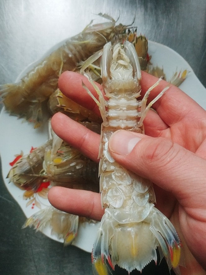 水煮皮皮虾,一个明显的“王”
