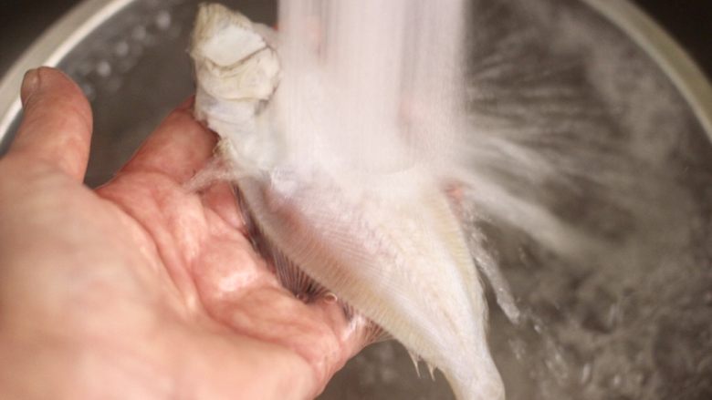 香辣孜然片口鱼,把片口鱼反复用自来水冲洗干净，特别是鱼肚里面一定要清洗干净。