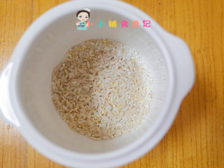 8个月以上胚芽米粥附各月龄水米比例,将谷物米跟粥米全部放入炖盅内
