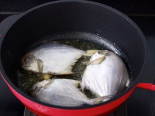 鲳鱼烧冻豆腐,锅烧热后，倒入花生油烧至六成热时，先放入姜片后再放入鲳鱼小火慢慢煎制。