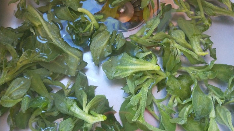 清炒木耳菜,在用清水洗干净捞出来控水。