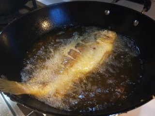 红烧黄花鱼,油温不易过高。