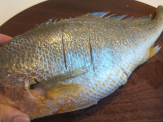 红烧黄花鱼,鱼背两面划三刀。
