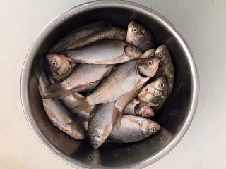 香煎鲫鱼,小鲫鱼放入盆里清洗干净，刮去鱼鳞，清除内脏和鱼鳃