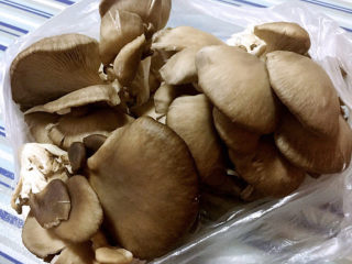 孜然蘑菇,超市买回来的平菇准备换个花样尝试一下