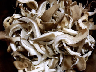 孜然蘑菇,平菇洗净撕成条状