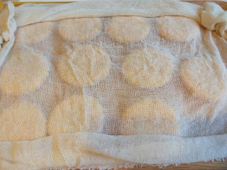 脆皮南瓜饼,盖上湿巾随时都可以煎制。