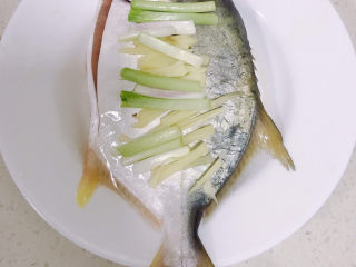 清蒸白鲳鱼,铺上新的姜丝和葱白