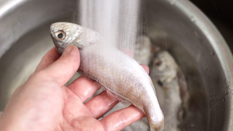 五香干炸大头宝鱼,把大头鱼用自来水反复冲洗干净。