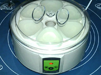 红枣酸奶,盖上酸奶机盖子，接上电源，进行发酵