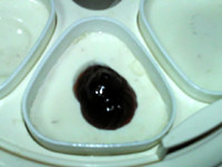 蓝莓酸奶,表面用适量蓝莓酱点缀
