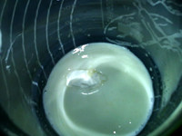 黄桃酸奶水果沙拉,将菌粉倒入容器，加入少量牛奶