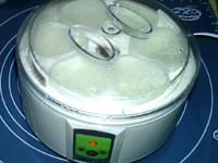 黄桃酸奶水果沙拉,加盖，接上电源，发酵