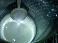 咖啡酸奶,搅拌至菌粉溶化