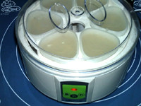 咖啡酸奶,放入酸奶机，加盖，通电发酵8-12小时