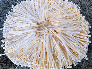 粉丝蒸金针菇,金针菇平铺在盘上