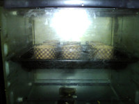 火腿肠批萨蛋糕,放入预热180度的烤箱，中层，烤约30分钟