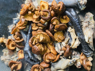 土鸡炖蘑菇,放入泡好的蘑菇，翻炒均匀。