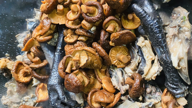 土鸡炖蘑菇,放入泡好的蘑菇，翻炒均匀。