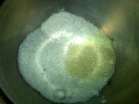 蛋白椰丝球,将40克椰丝，奶粉，面粉，细砂糖倒入碗中
