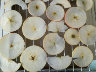 烤苹果片,将苹果铺在烤网上