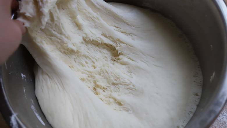 韭菜鸡蛋粉丝包子,面团发酵好以后会变为原来的两倍大，拉开面团，内部可见密集的小孔洞，闻起来有一股淡淡的酒香味。