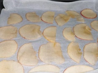 烤苹果片,烤箱100度预热10分钟，放入烤箱100℃烘烤2小时；