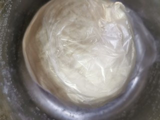 猪肉白菜包子,套一层塑料布，厚一点的，里面撒一点面粉，再把面团放进去，放在温暖的地方，比如暖气上，发酵两个小时以上。