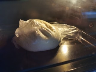猪肉白菜包子,暖气不太热，也可以用烤箱发酵一小时