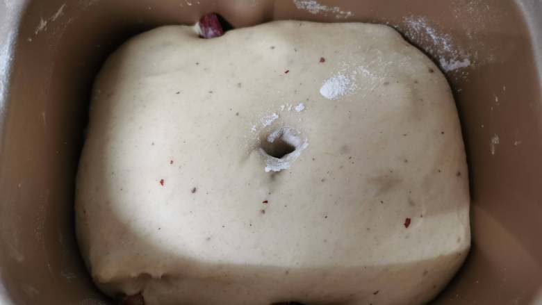 红枣面包,放入温暖湿润处发酵至两倍大，手指戳一下，不回弹不回缩。