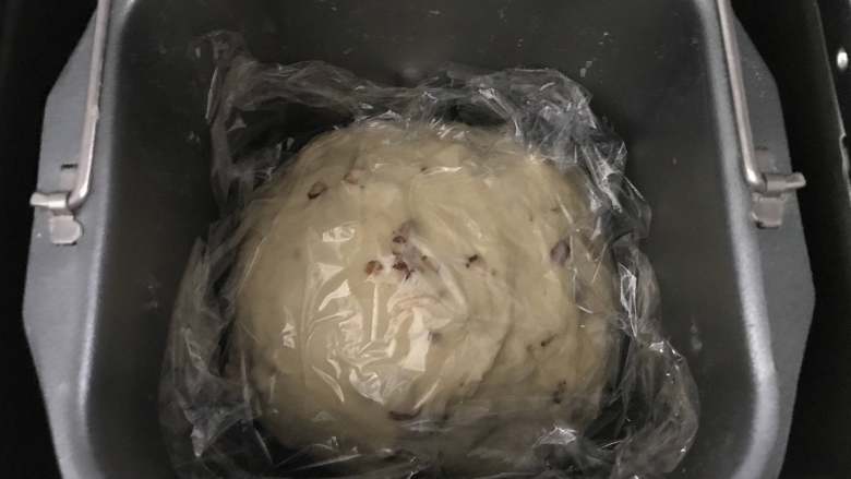红枣面包,揉匀后盖上保鲜膜，静置20分钟，这里不需要发酵至2倍大