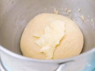 脆底蜂蜜小面包,开启和面机，先用低速(3档)搅拌2分钟成团，再转中速(5档) 搅拌3分钟至基本光滑。