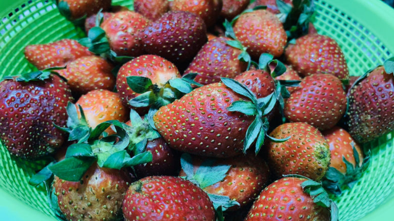 🍓自制草莓酱🍓,草莓买多了，吃不完浪费，做草莓酱不错，到草莓季，街上有很多卖这个种小个的草莓，别看它小，外表不咋样，草莓香味很浓，也很酸甜；