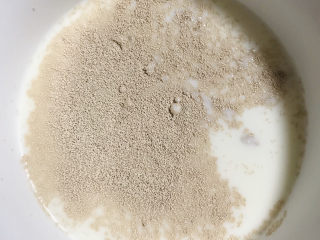 香甜贝壳馒头,牛奶放微波炉稍微加热，放入酵母融化。