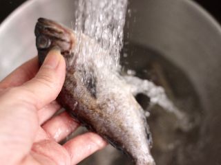 海杂鱼酱焖冻豆腐,把海鱼的内脏清理干净后，反复用自来水冲洗干净。