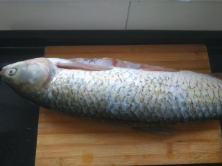 炖草鱼,今天这条草鱼太大了，六斤，炖半条。去鳞去鱼鳃去内脏清洗干净