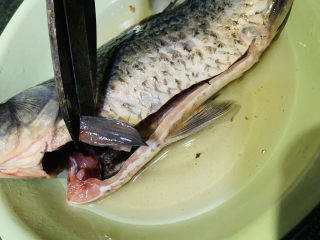 木瓜鲫鱼汤,新鲜鲫鱼一条，冲洗干净，剪去鱼鳍；