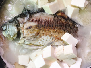 奶白鲫鱼豆腐汤,将豆腐放入鱼汤中，加入盐、白胡椒粉一起煮。