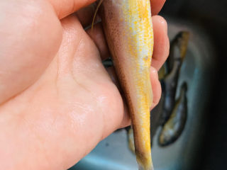 清蒸小黄鱼,肚子下方有个小洞，用剪刀剪开，挖出内脏和鱼鳍，刮干净内膜，清洗干净；